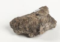 M 08004
<br/>
<br/>
<em></em>